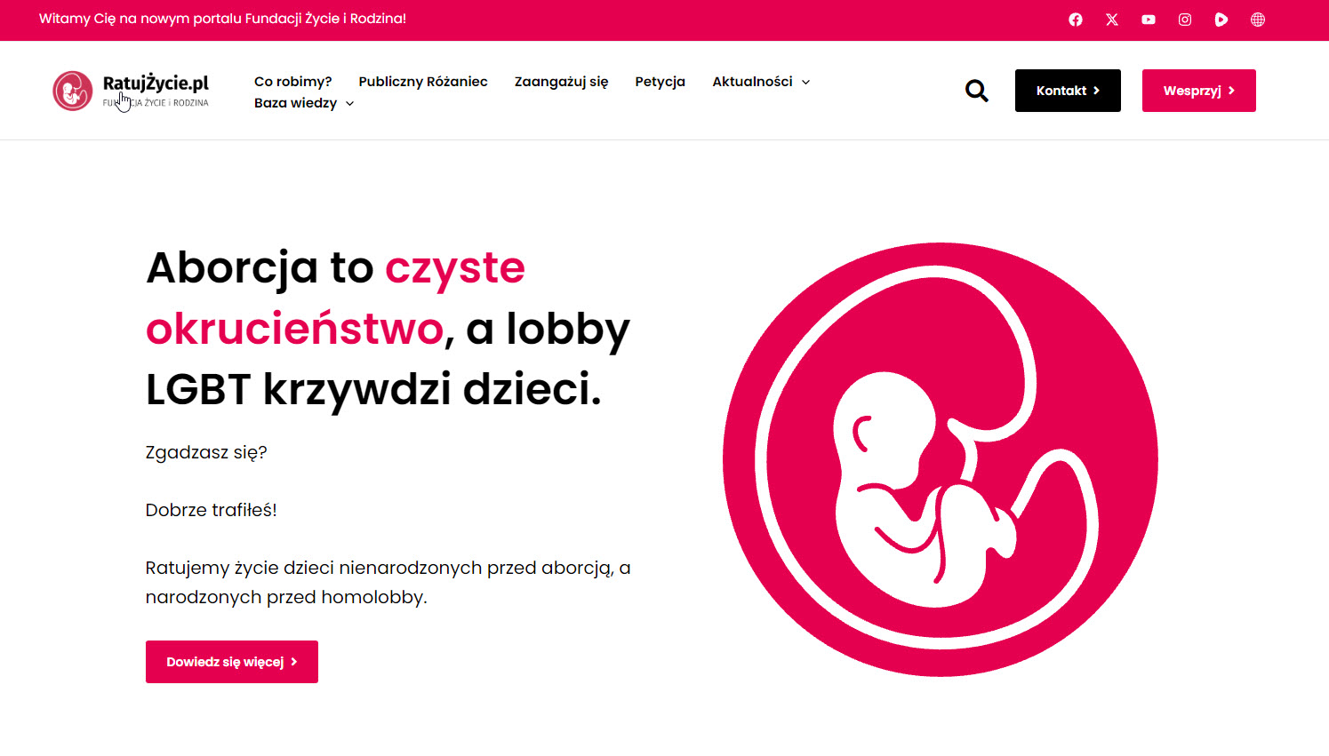 Jak działają fundacje pro-life i jakie formy wsparcia oferują kobietom?