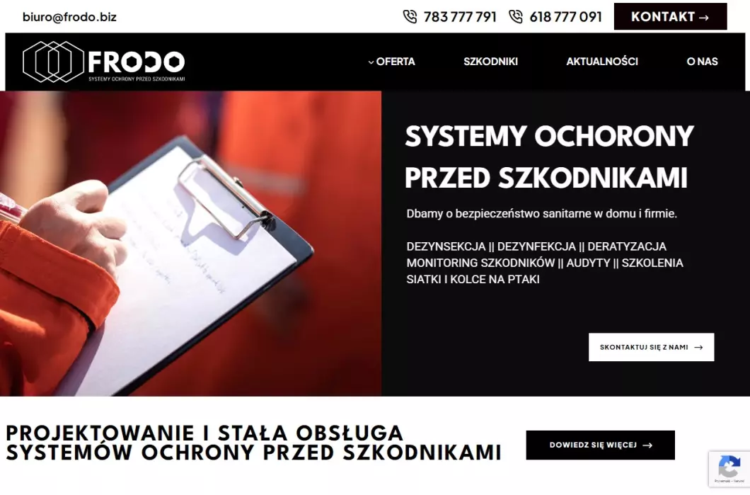 Zrzut ekranu strony Usługi DDD - Frodo Poznań